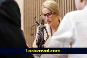 راهنمای کامل اعاده دادرسی حقوقی